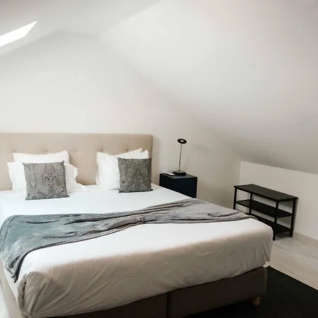 Duplex With Terrace In Principe Real Apartment *