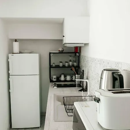 Duplex With Terrace In Principe Real