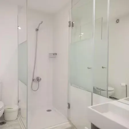 Duplex With Terrace In Principe Real Apartment *