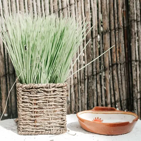 Apartamento Duplex With Terrace In Principe Real